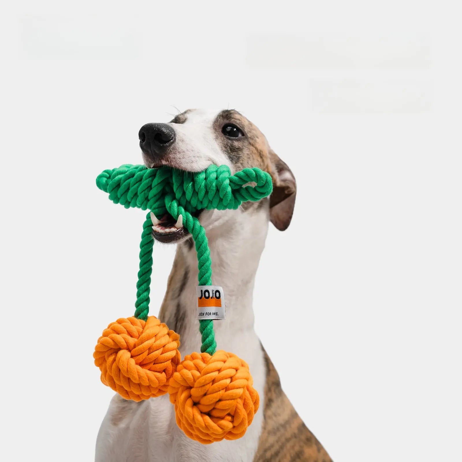 How to Make Dog Rope Tug Toys at Home: Easy DIY Guide 2026
