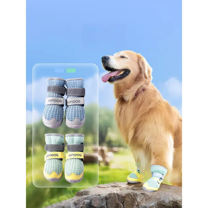 AirMesh Large Dog Shoes for Walking  Decorla