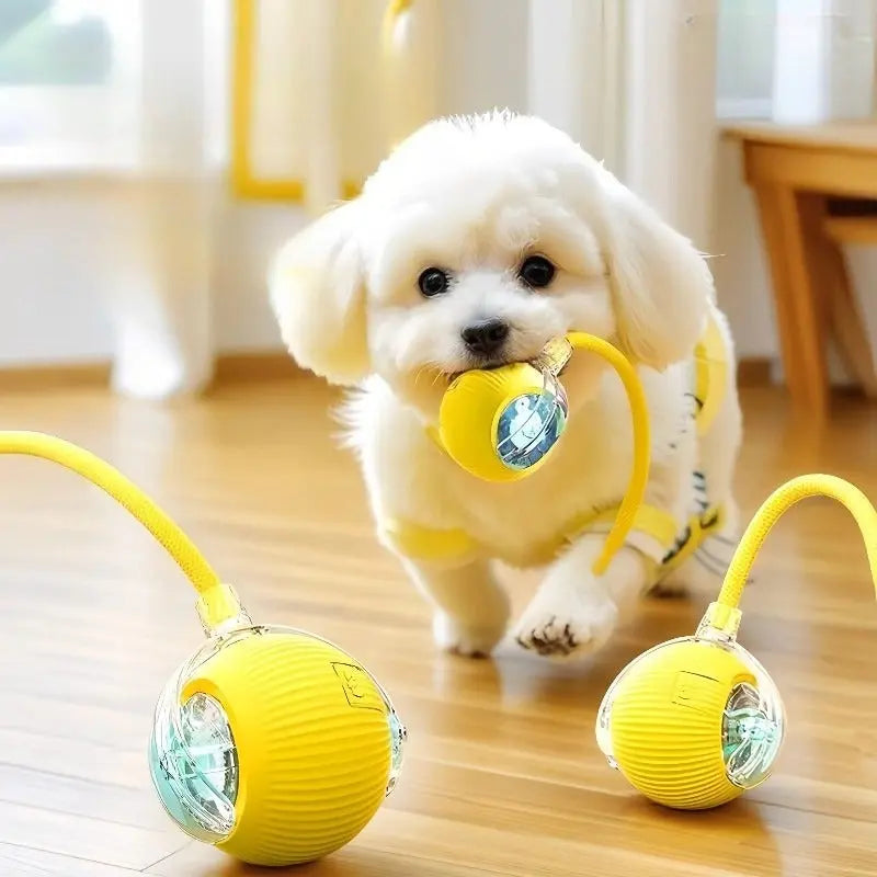 AutoBounce Smart Dog Ball (Self-Moving Interactive Toy)  Decorla
