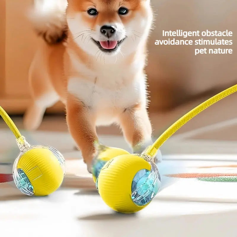 AutoBounce Smart Dog Ball (Self-Moving Interactive Toy)  Decorla
