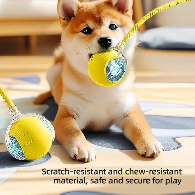 AutoBounce Smart Dog Ball (Self-Moving Interactive Toy)  Decorla
