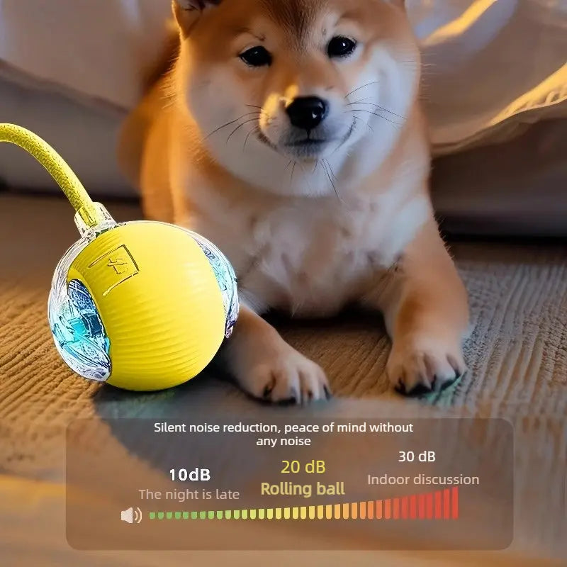 AutoBounce Smart Dog Ball (Self-Moving Interactive Toy)  Decorla