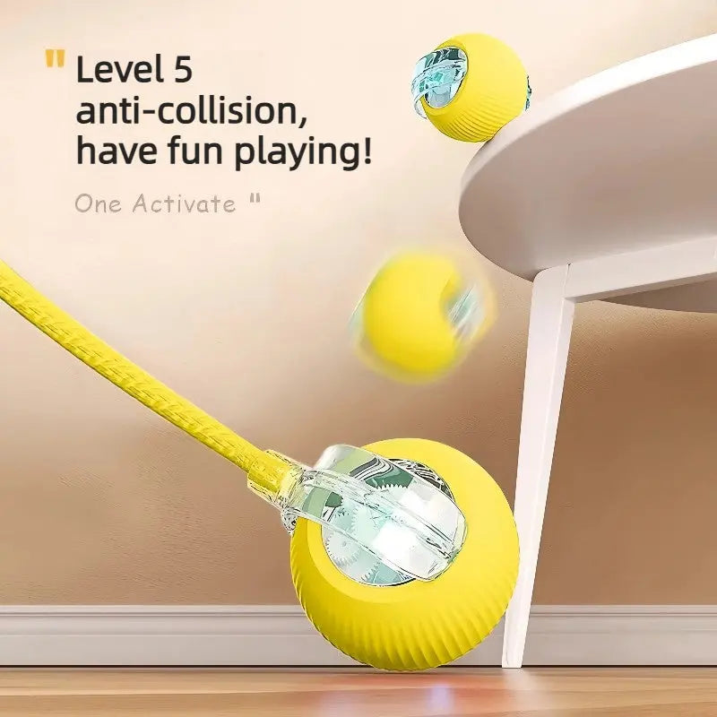 AutoBounce Smart Dog Ball (Self-Moving Interactive Toy)  Decorla