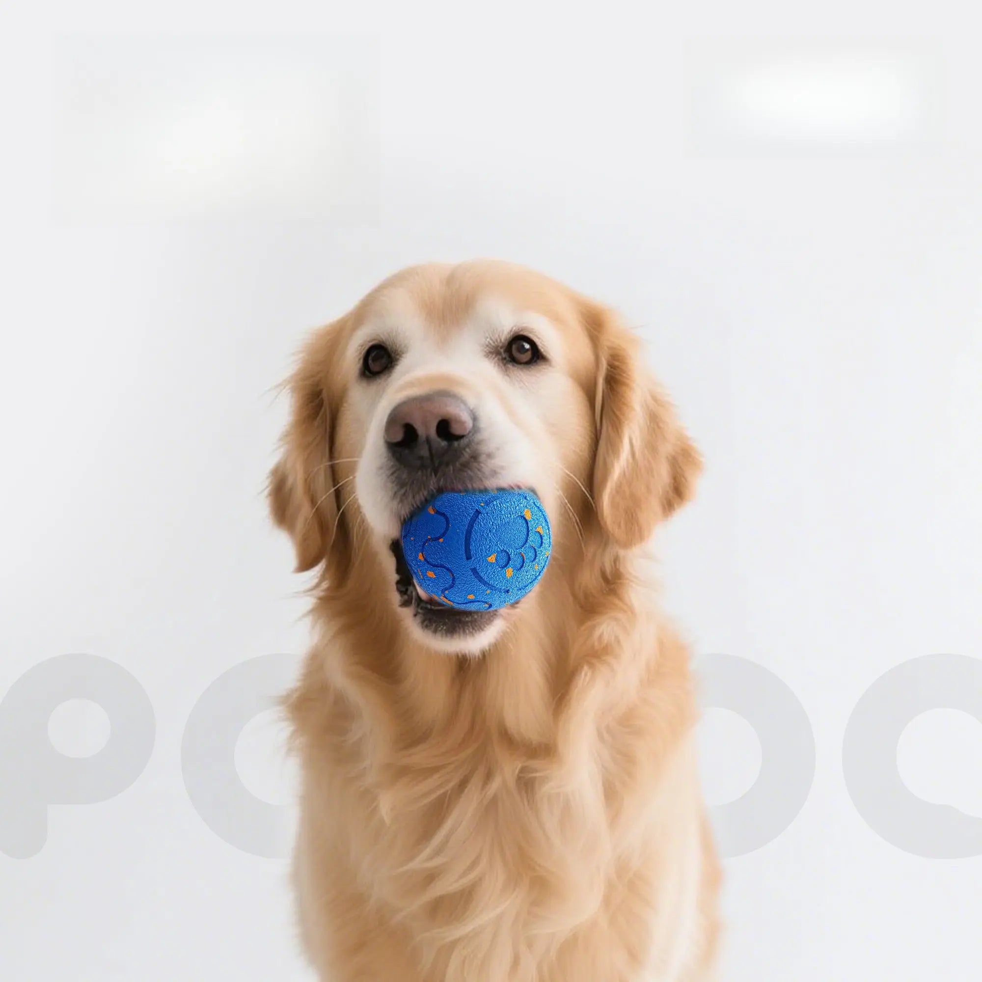 Automatic Dog Ball – Electric Interactive Self Moving Dog Toy Ball  Decorla