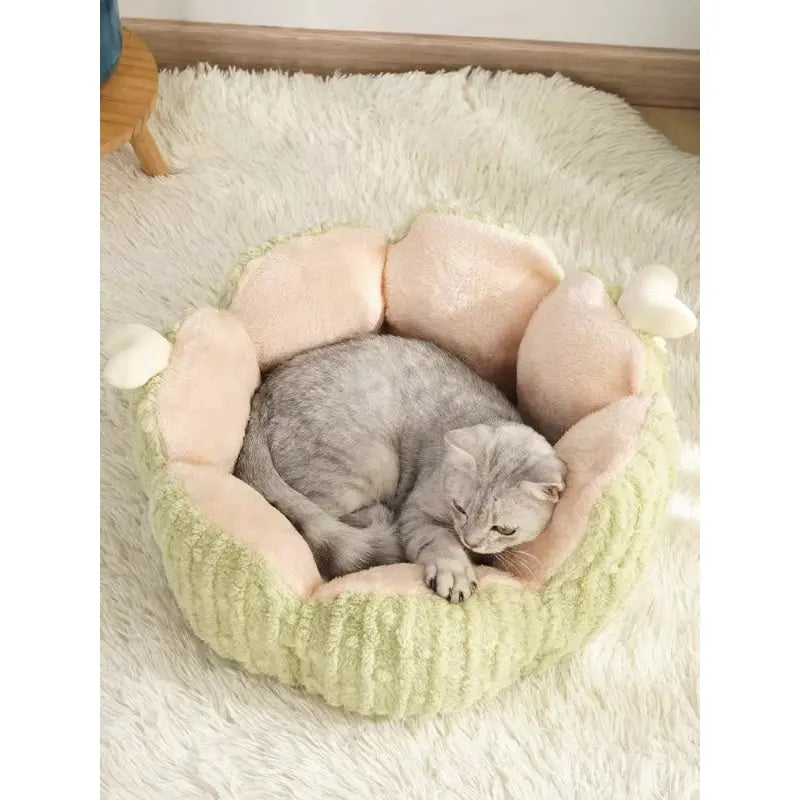 Cactus Semi Enclosed Cat Bed Cave (Warm Winter Cat Nest)  Decorla