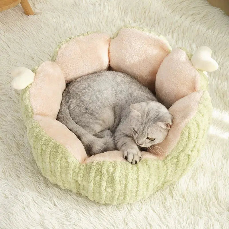 Cactus Semi Enclosed Cat Bed Cave (Warm Winter Cat Nest)  Decorla