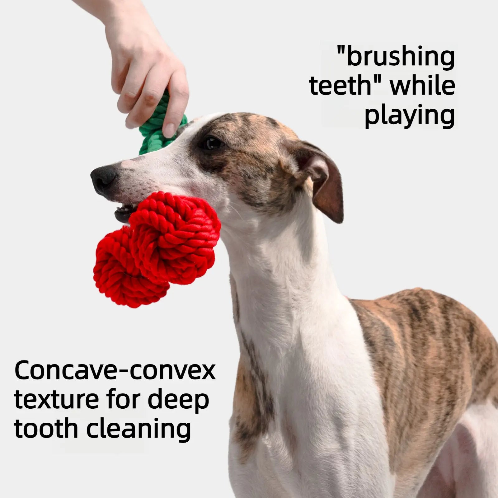 Cherry Party Dog Rope Toy Tug and Chew Training Toy  Decorla