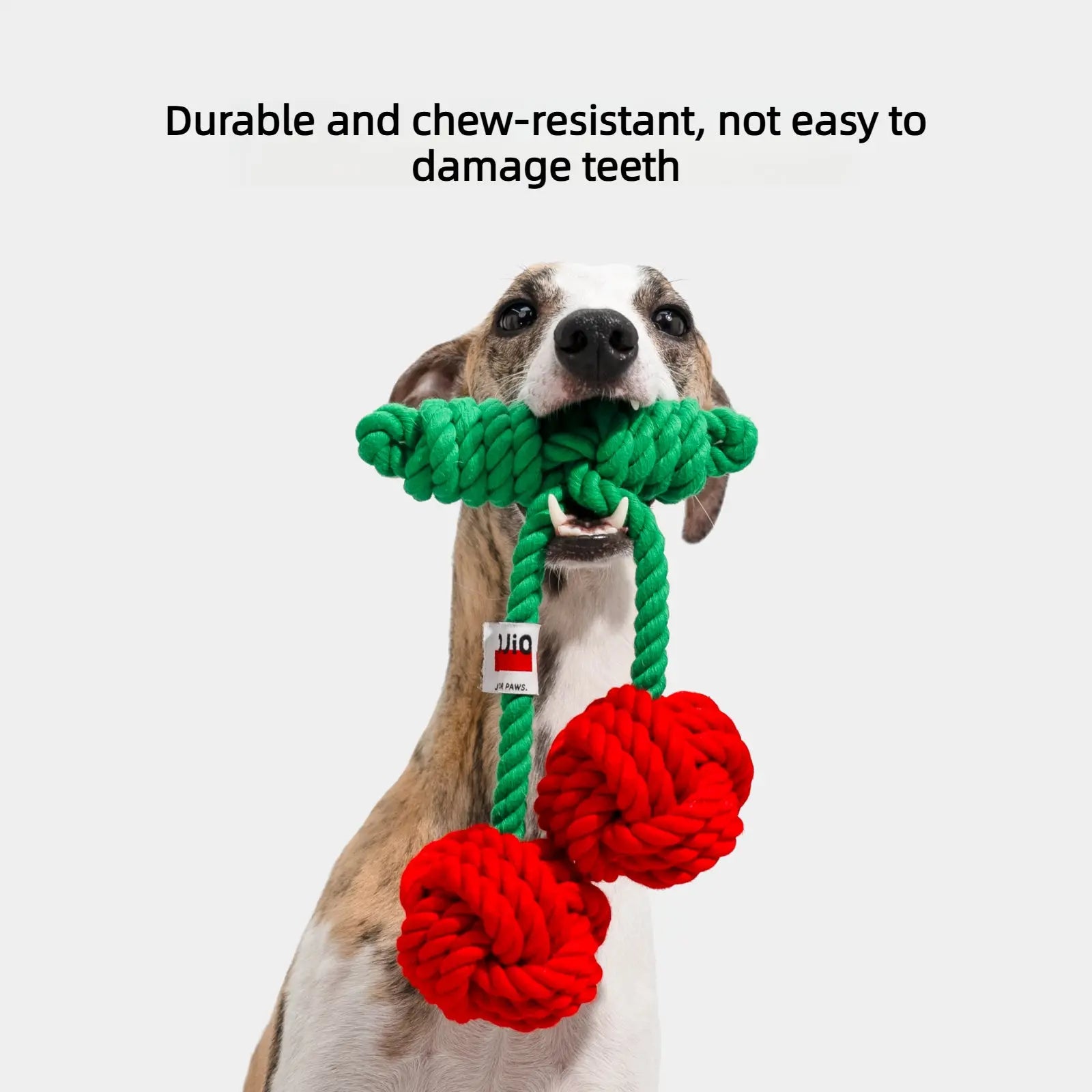 Cherry Party Dog Rope Toy Tug and Chew Training Toy  Decorla