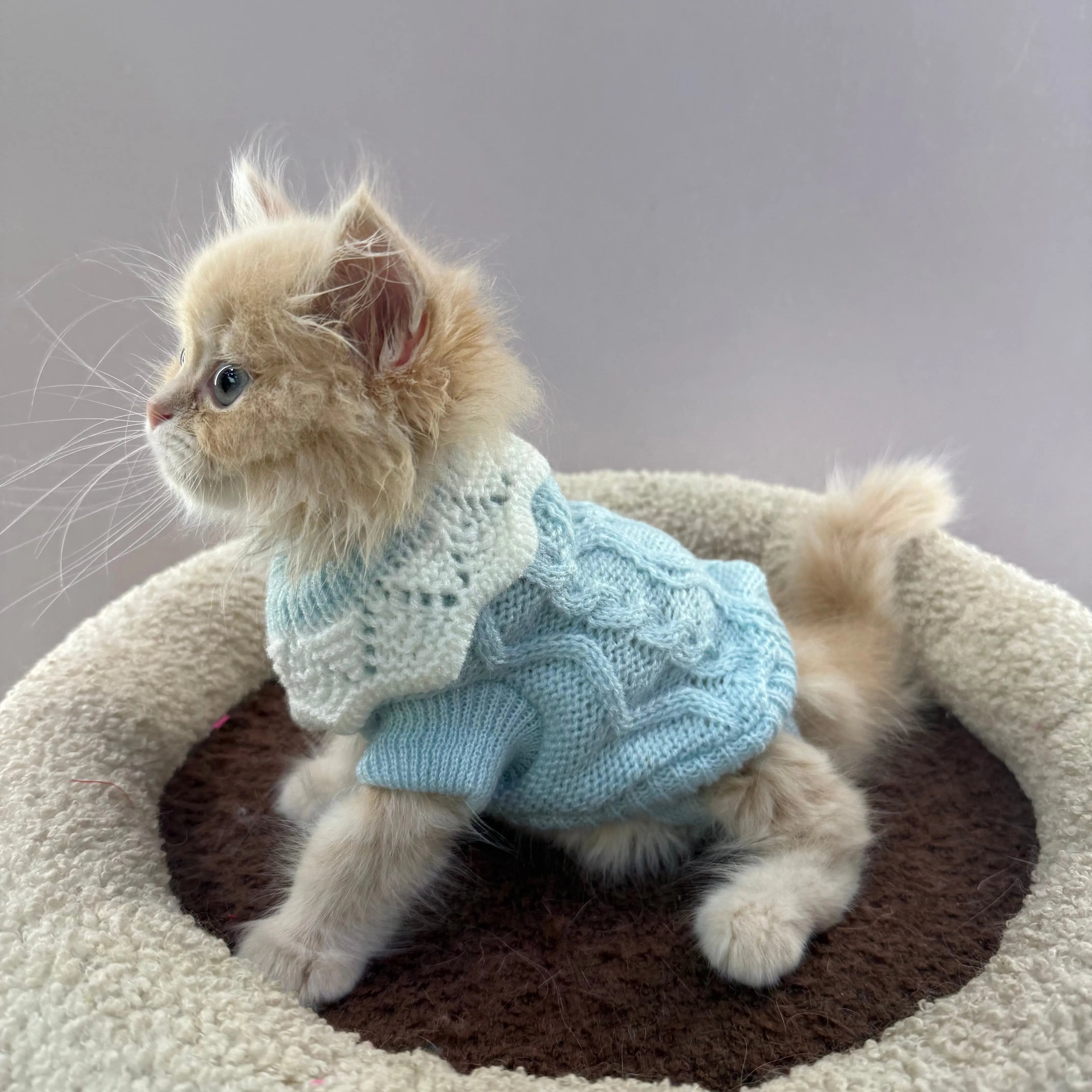 Cozy Knit Cat Sweater with Lace Collar  Decorla