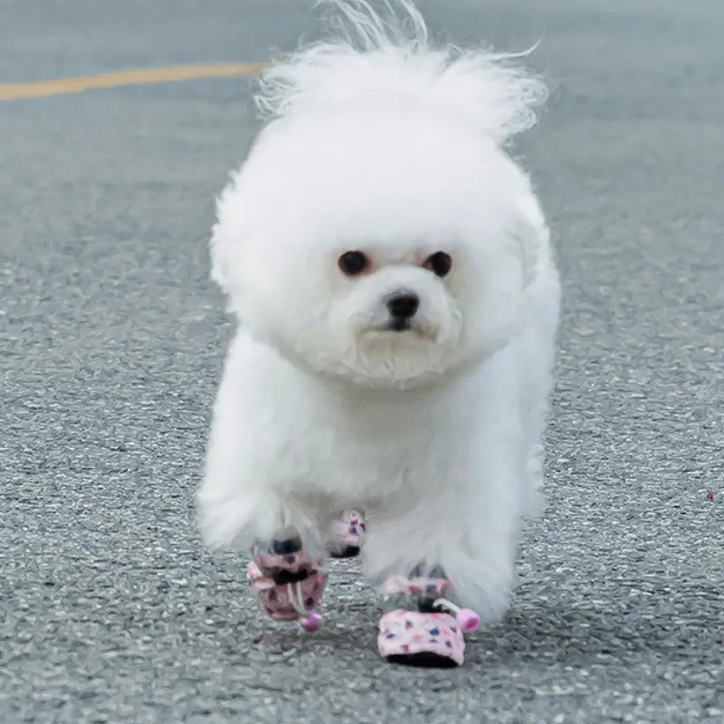 Cute Bear Print Dog Shoes Soft Sole Booties  Decorla