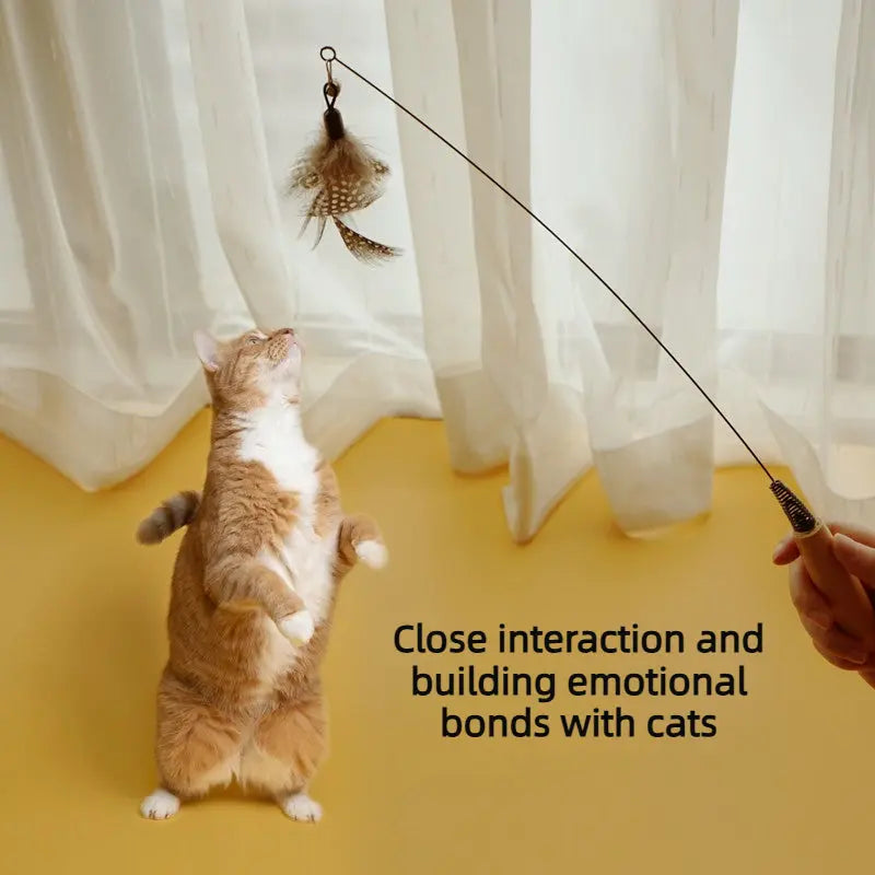 FlexSpring Cat Teaser Wand with Replaceable Feather Heads  Decorla