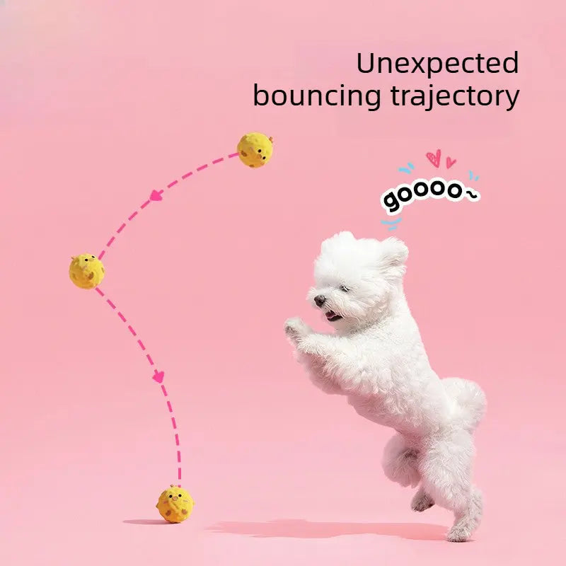 Plush Spiky Squeaky Dog Ball (Bouncy Chew Toy)  Decorla