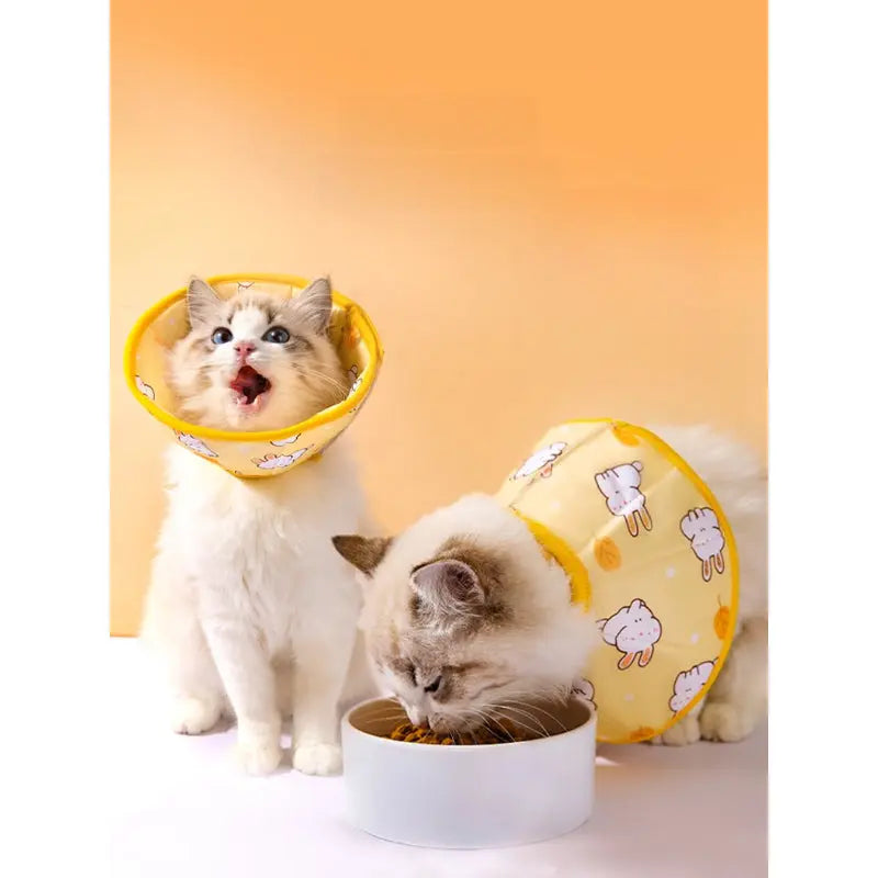 Soft Bunny Print Cat Recovery Collar (Anti-Lick Cone)  Decorla
